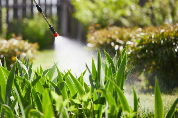 Tamper-Resistant Bait Stations for Rodents in Crossville