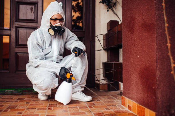 Attic and Crawl Space Rodent Treatment in Crossville