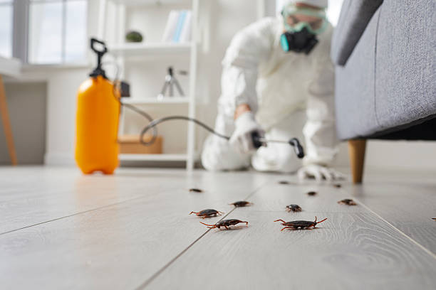 Commercial Rodent Management in Crossville